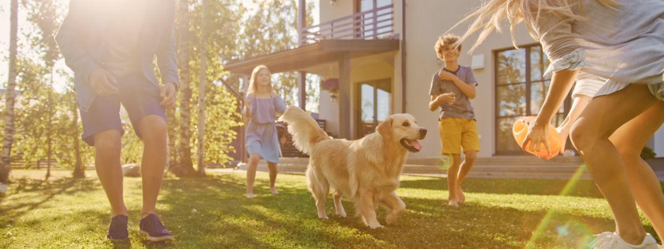 family playing with dog in their front yard
