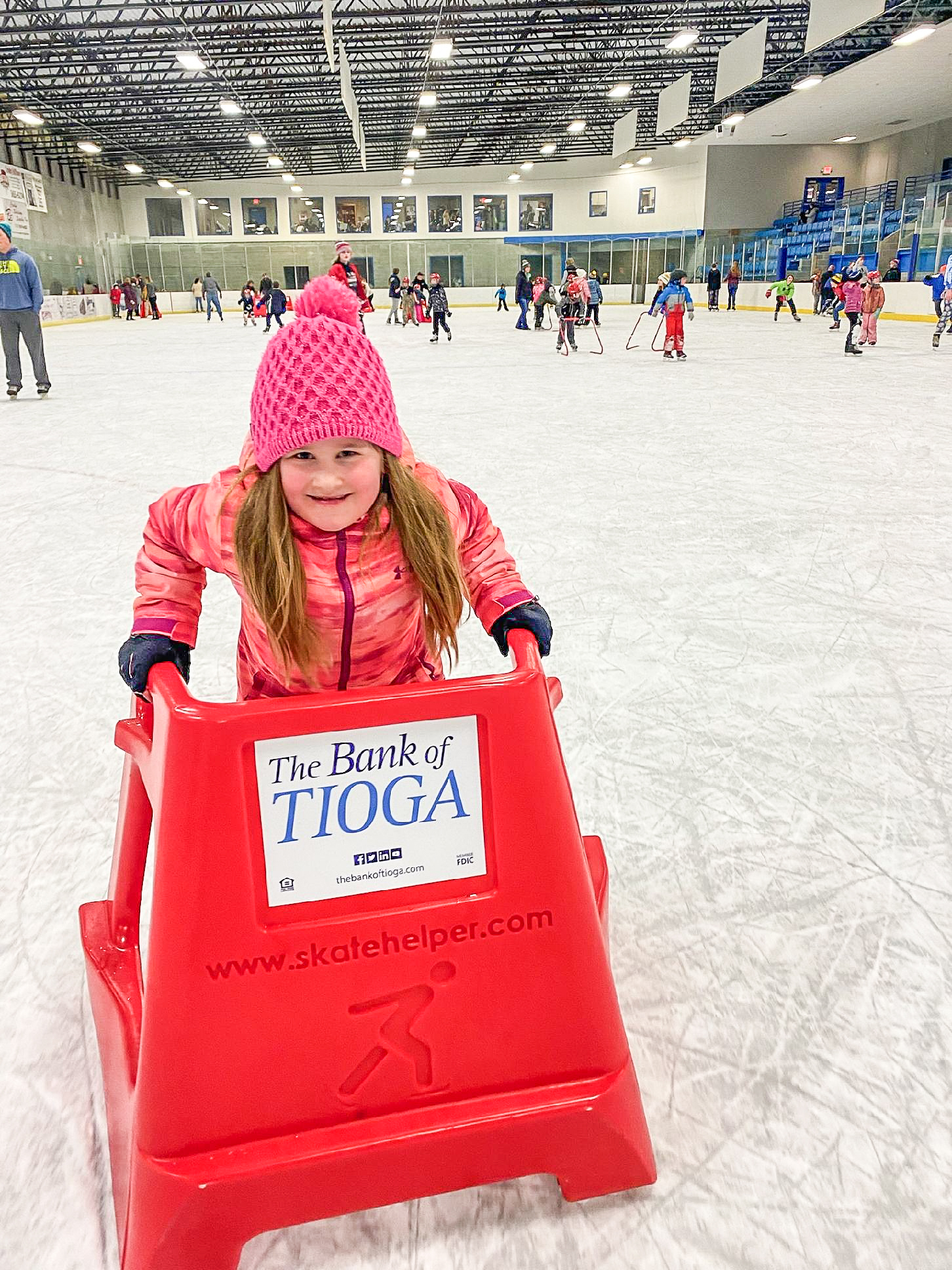 the bank of tioga logo on skate trainer